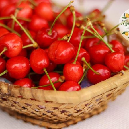 Zagare E Limoni Apartment Остуни Екстериор снимка